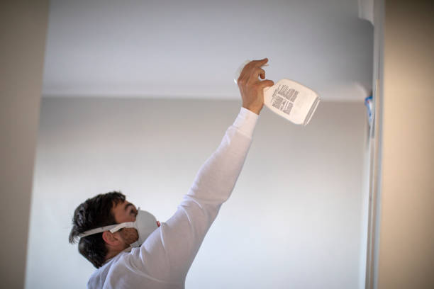 Best Mold Testing and Removal  in Valley Falls, SC