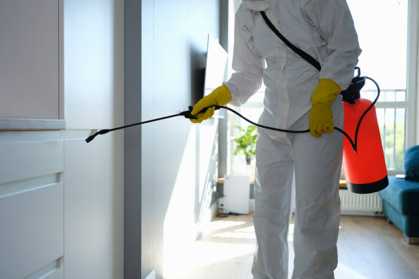 Best Toxic Mold Removal  in Valley Falls, SC