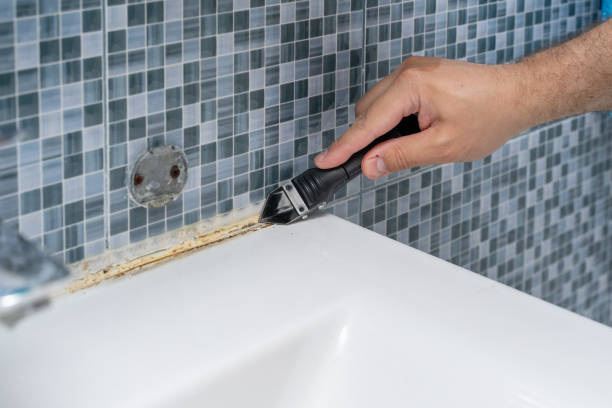 Best Black Mold Removal  in Valley Falls, SC