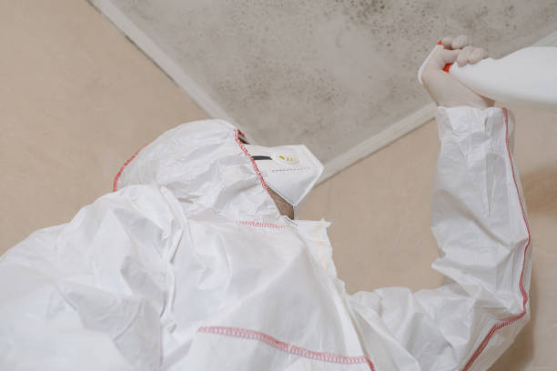 Best Professional Mold Removal  in Valley Falls, SC
